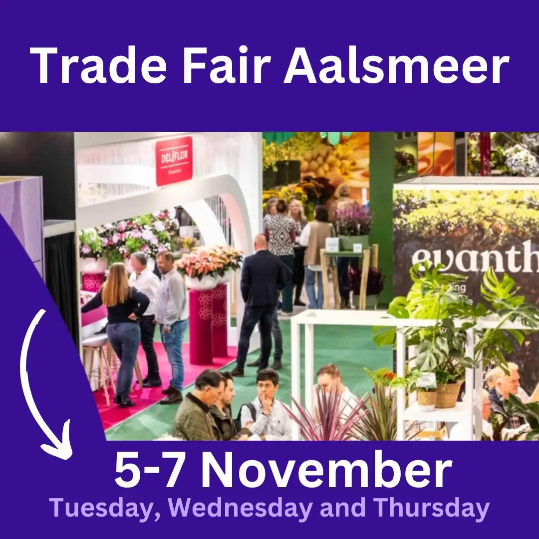 Trade Fair Aalsmeer