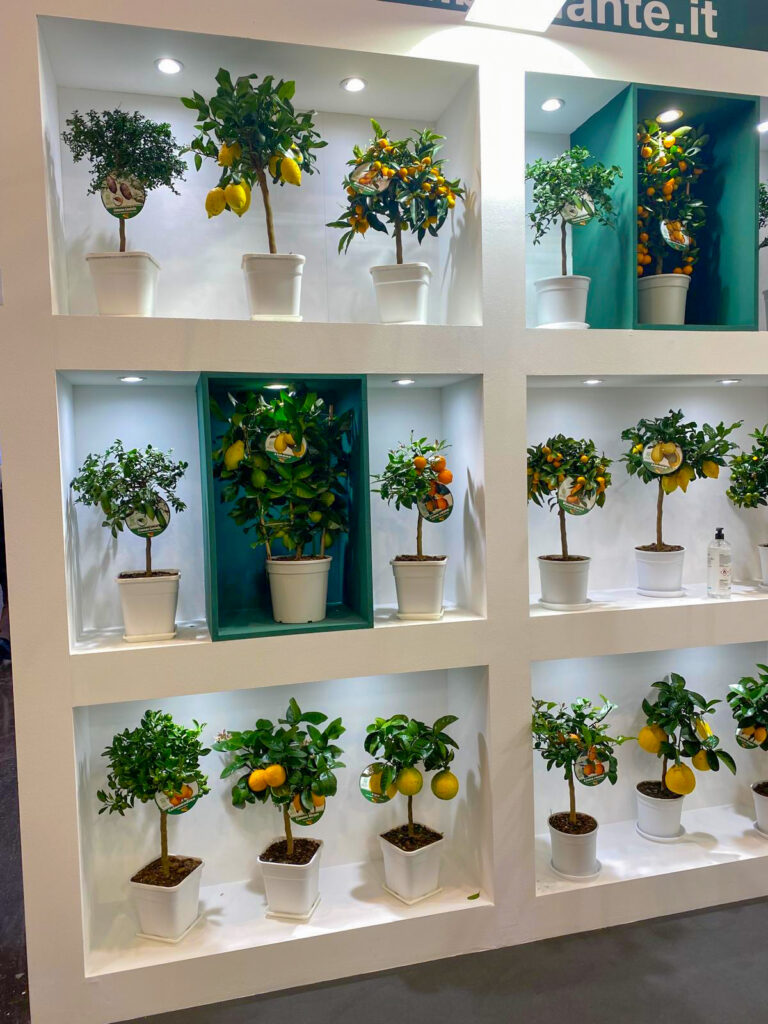 Innovative plant arrangements displayed at IPM ESSEN 2025 for the Future of the Floral Industry.