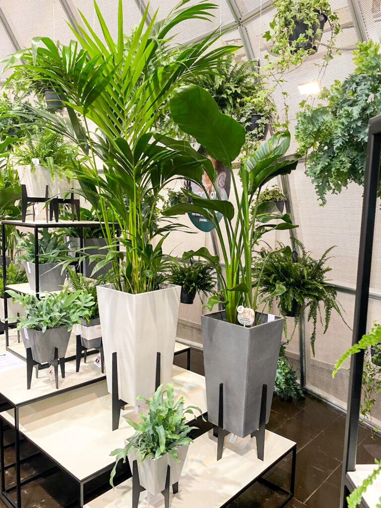 Future of the Floral Industry 2025 showcased at IPM ESSEN with innovative plant arrangements and sustainable practices.